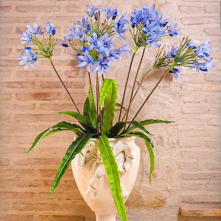 Летний дом Relais Garden Cactus *