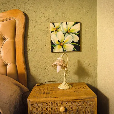 Relais Garden Cactus