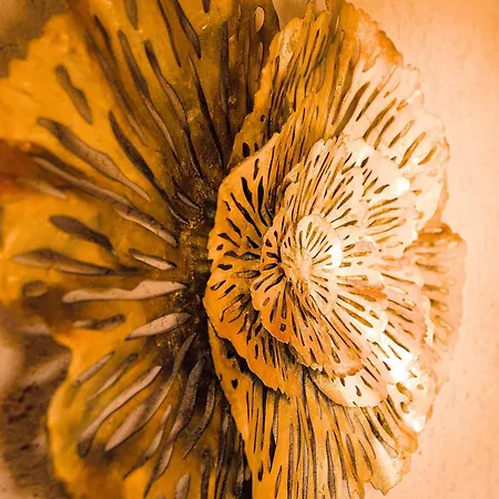 Relais Garden Cactus Εξοχικό σπίτι *