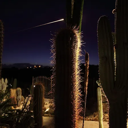 Relais Garden Cactus Εξοχικό σπίτι *