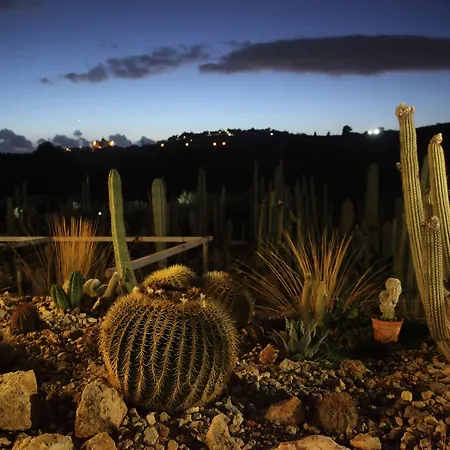 Relais Garden Cactus *