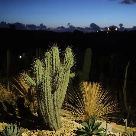Εξοχικό σπίτι Relais Garden Cactus *