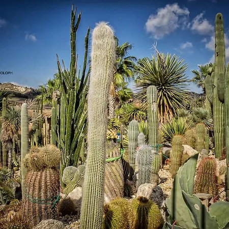 Relais Garden Cactus Εξοχικό σπίτι Favara