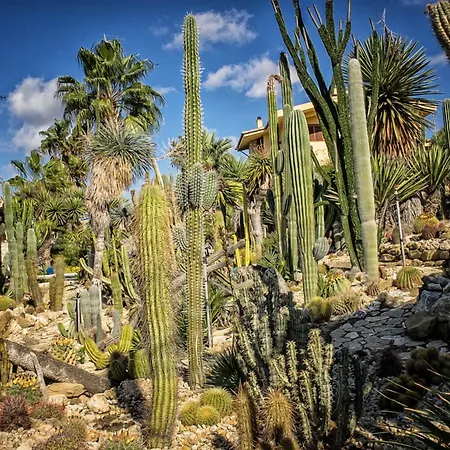 Relais Garden Cactus Favara