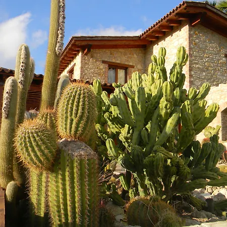 Relais Garden Cactus *