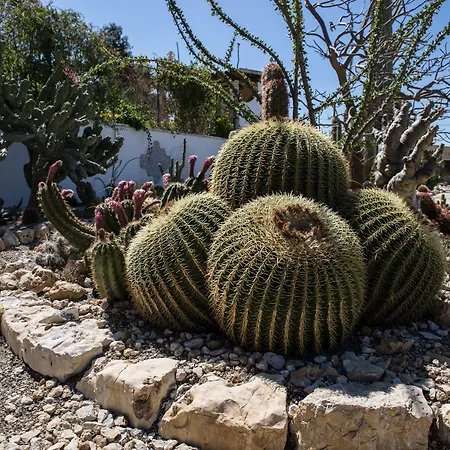 Relais Garden Cactus Εξοχικό σπίτι Favara