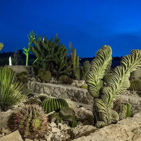 Летний дом Relais Garden Cactus