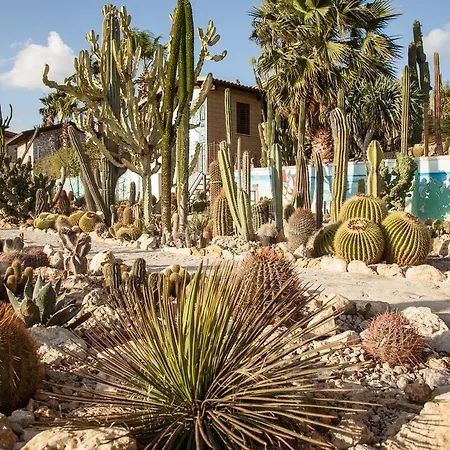 Relais Garden Cactus
