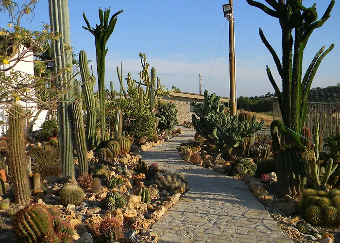 Relais Garden Cactus *