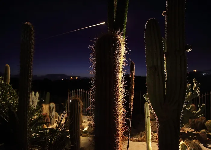 Relais Garden Cactus Séjour à la campagne *