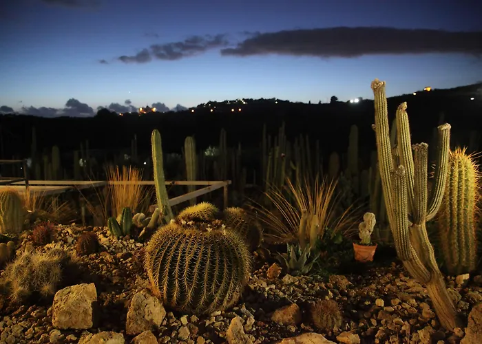 Relais Garden Cactus *