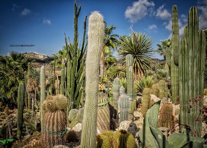 Relais Garden Cactus Séjour à la campagne Favara