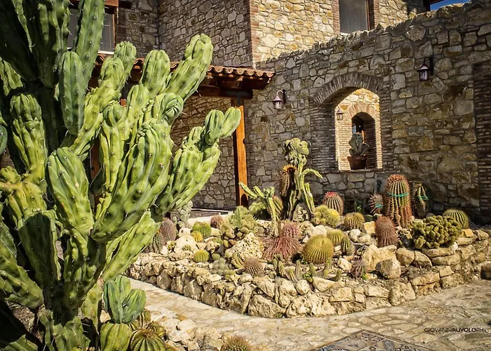 Relais Garden Cactus
