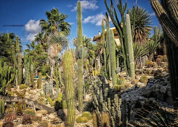 Relais Garden Cactus Favara