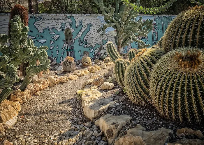Relais Garden Cactus Séjour à la campagne *