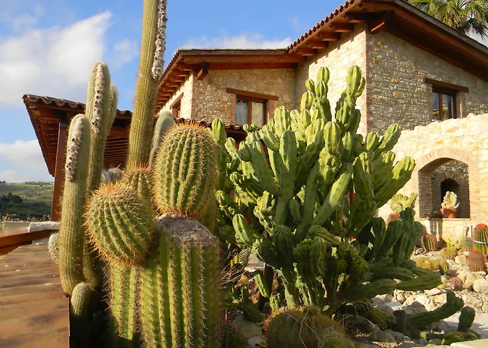 Relais Garden Cactus *