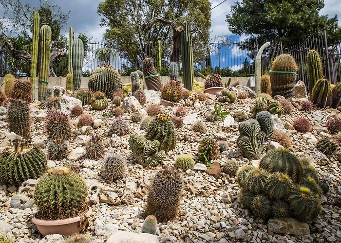 Relais Garden Cactus Séjour à la campagne