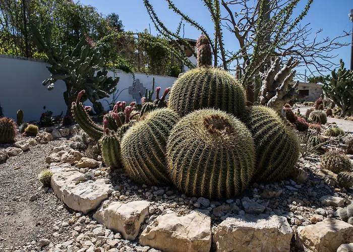 Relais Garden Cactus Séjour à la campagne Favara